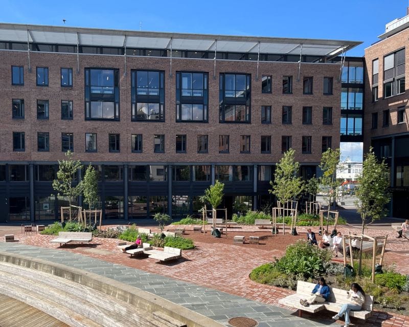 New Buy: A Highly Profitable Insurer